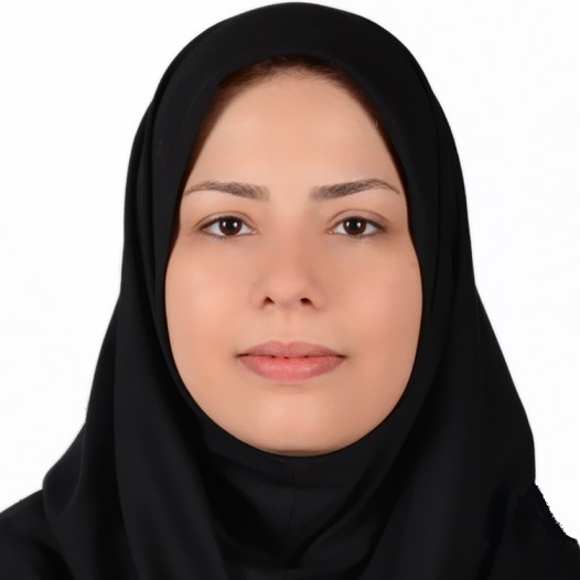 Dr. Sepideh Hajipour