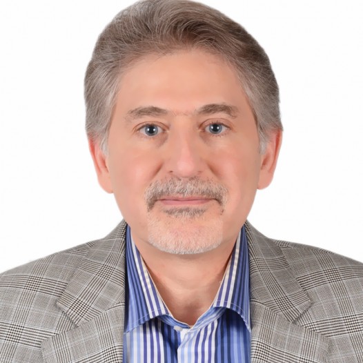 Dr. Seyed Hamid Hosseini