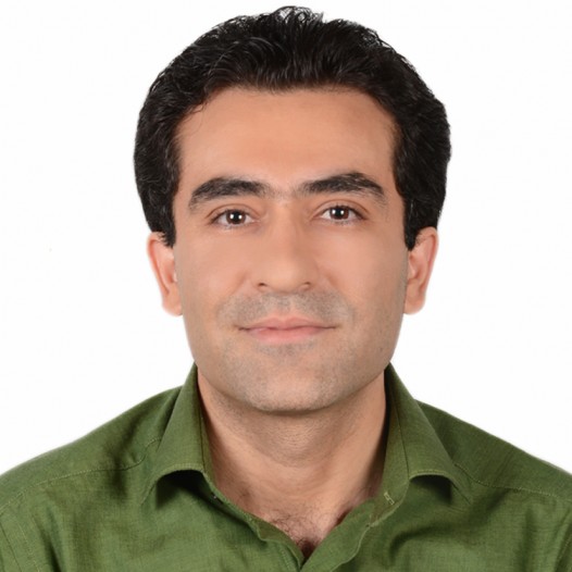 Dr. Mohammad Saleh Tavazoei